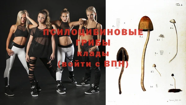 мдпв Володарск