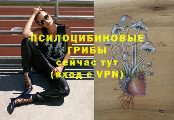круглые Верея