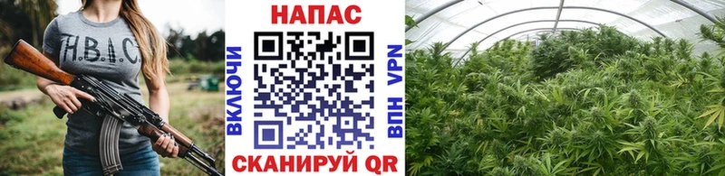 даркнет сайт  Нестеровская  Марихуана план 